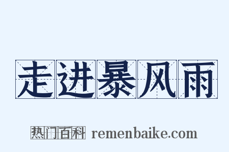 走进暴风雨是什么意思的图片